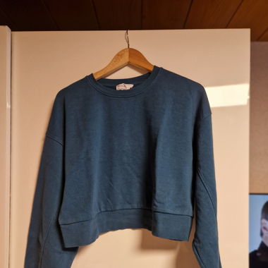 Crop Hoodie