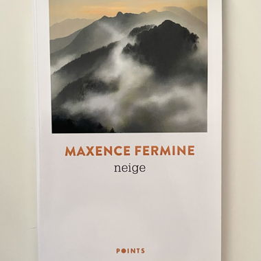 Neige - Maxence Fermine