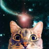 catinspace