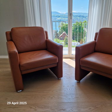Braune Leder Sessel