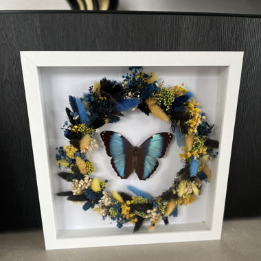 Wanddeko, Bild mit echtem Schmetterling