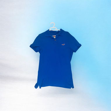 Polo Hollisyer bleu