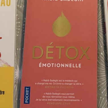 Taschenbuch Detox Emotionnelle
