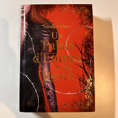 A Court of Thorns and Roses Book 1