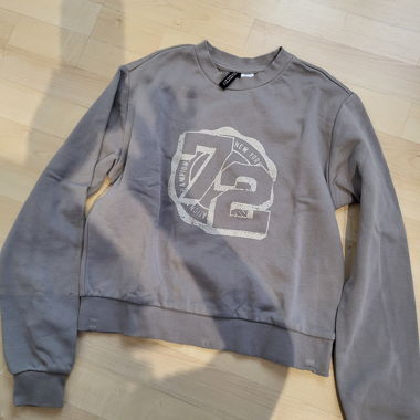 Grey Sweatshirt Pullover