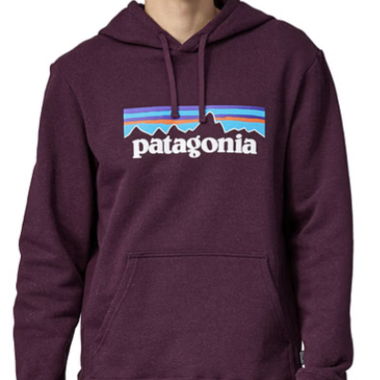 Patagonia Logo Uprisal Hoody - Men - M Regular Fit