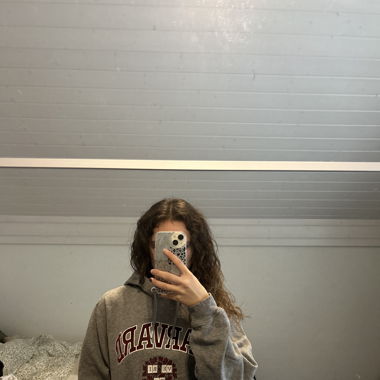 Harvard Pullover grau