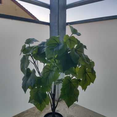 Kunst Pflanze 