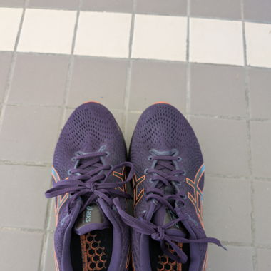 Asics Gel-Cumulus GTX