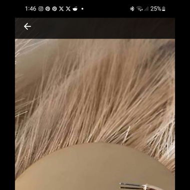 NEUE Louis Vuitton style Kreolen