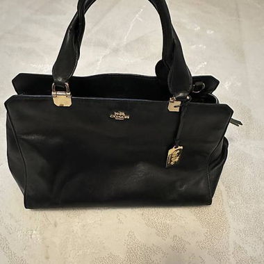 Borsa Coach