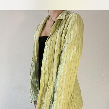 Blazer Vintage