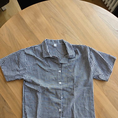 checkered blouse