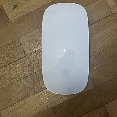 Apple mouse