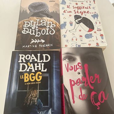 4er-Pack Jugendromane