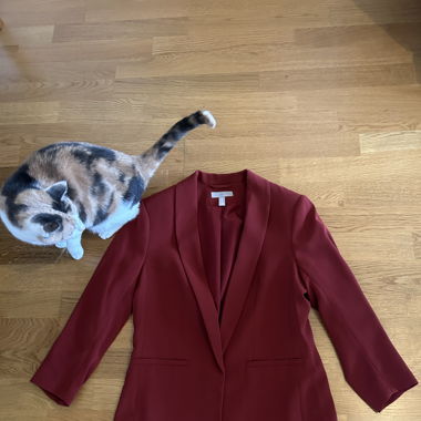 Blaser rouge 