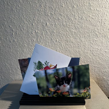 Photo Support bureau organisateur