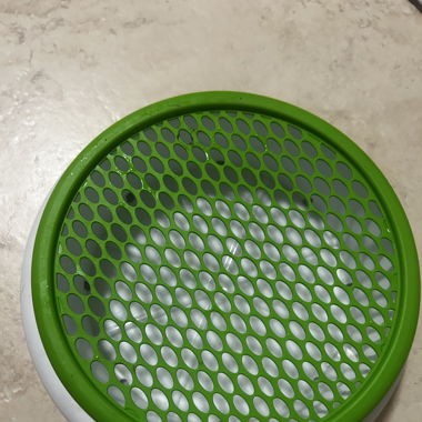 Ciotola per erba gatta