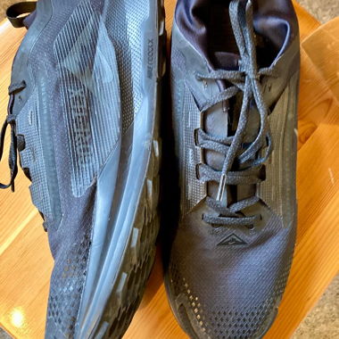 NIKE Trail GoreTex Schuhe