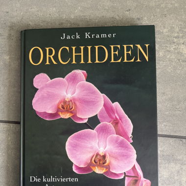 Orchideen Buch