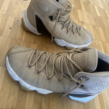 Lebron james 13