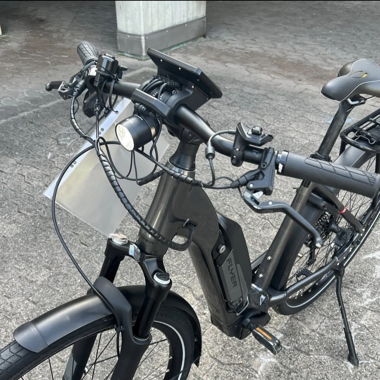 Top 45km/h E-Bike von Flyer
