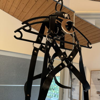 Harness