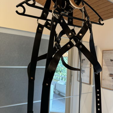 Harness