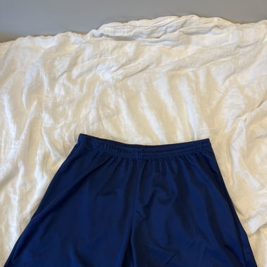 Adidas Climalite Sports Shorts