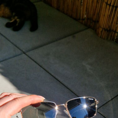 Polaroid Sonnenbrille 