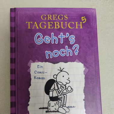 Gregs Tagebuch 5
