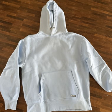 Pallbear Hoodie Hellblau