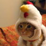 Chicky9