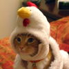 Chicky9