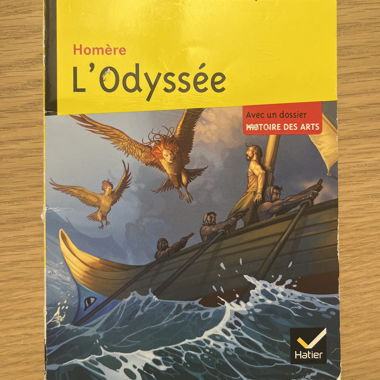 Omero, l'Odissea