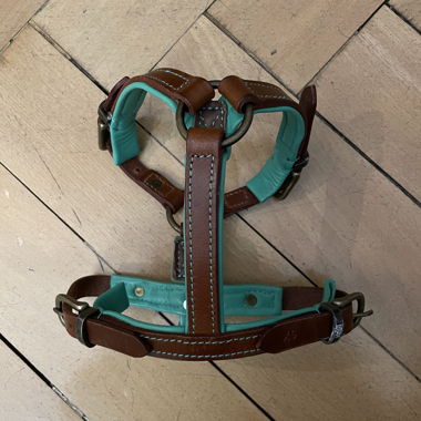 Imbracatura per cani in pelle turchese
