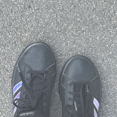 Adidas Superstar in Grösse 39 1/2 
