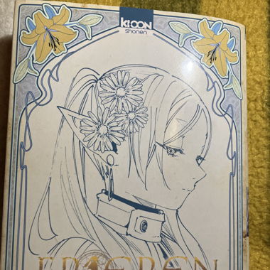 Manga Frieren Tome 13 Jaquette Alternative  