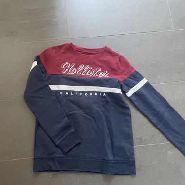 Multicolored Hollister Sweatshirt