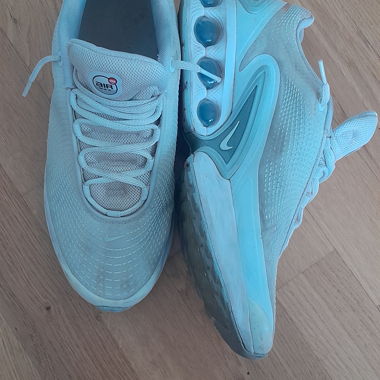 Nike Air Max Sneakers