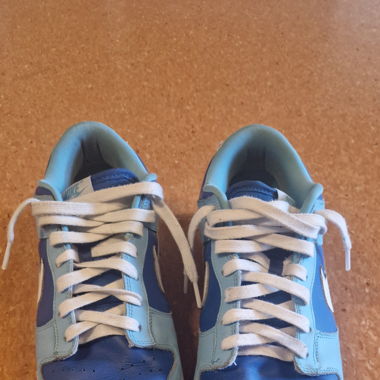 Nike Dunk Low Retro QS