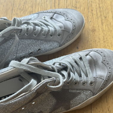 Golden Goose in Silver