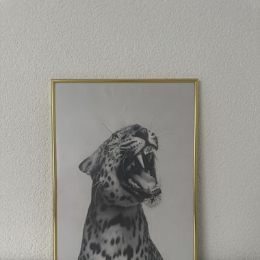 QUADRO & CORNICE - oro