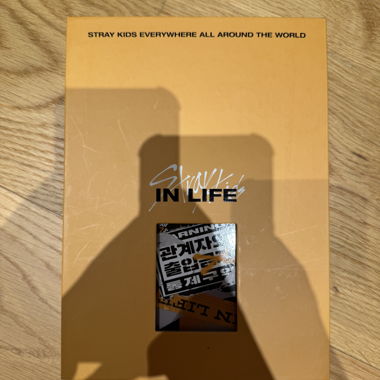 Stray Kids In Life Album