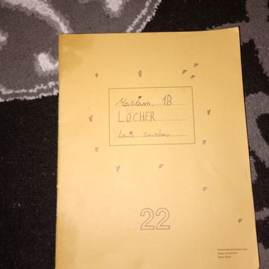 Résumé de "Löcher" Sek 1 (écrit à la main)