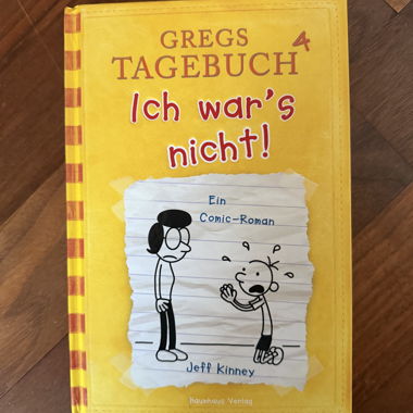 Diario di Greg 4
