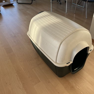 Dog House