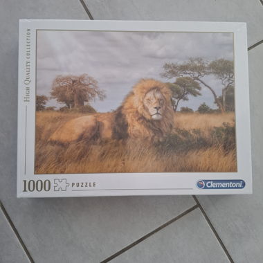 Clementoni 1000-Piece Puzzle
