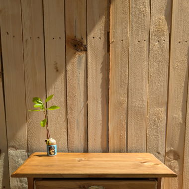 Renovated Antique Bedside Table