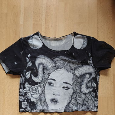 Sheer Crop Top 